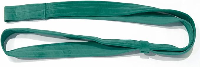 4.9ft (1.5m) Aerial Loops Straps – Professional Aerial Yoga Ropes for Acrobatics, Circus Training & Fitness – Strong Nylon Trapeze Straps for Aerial Silks, Hammock, Dance & Performance Arts