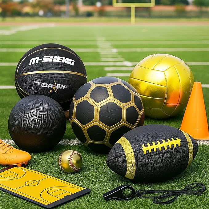 6 Pcs Multi Sport Ball Set Official Size Football, Basketball, Soccer, Volleyball, Playground Ball, Baseball with Equipment Bag Pump for Teen Adult Sport Gift Back to School