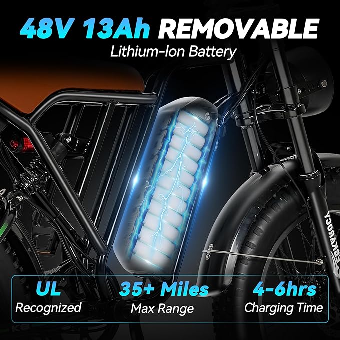 750W Electric Bike for Adults, 20" Fat Tire Electric Dirt Bike with 48V 13AH Removable Battery, Max 25 MPH & 35+Miles, LCD Display, Full Suspension Ebike for Snow/Beach/Mountains/Road