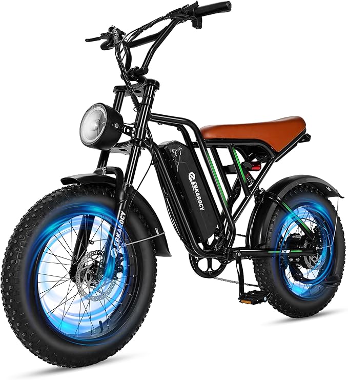 750W Electric Bike for Adults, 20" Fat Tire Electric Dirt Bike with 48V 13AH Removable Battery, Max 25 MPH & 35+Miles, LCD Display, Full Suspension Ebike for Snow/Beach/Mountains/Road