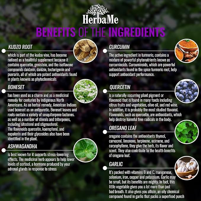 Advanced Immune System Booster 15 in 1 with Elderberry, Quercetin, Zinc, Vitamin D, 90 Capsules, Support Natural Wellness, Immunity Boost Supplement with Selenium and Vitamin C Antioxidants