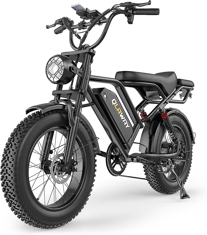 500W/750W Fat Tire Electric Dirt Bike for Adults, 48V 13.5AH/18AH Removable Battery 16"/20" Electric Motorcycle Ebikes with 31MPH Top Speed, 40-70 Miles Range, Full Suspension