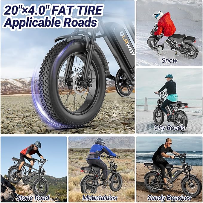 500W/750W Fat Tire Electric Dirt Bike for Adults, 48V 13.5AH/18AH Removable Battery 16"/20" Electric Motorcycle Ebikes with 31MPH Top Speed, 40-70 Miles Range, Full Suspension